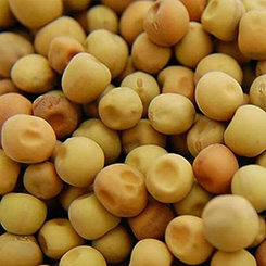 Dun Peas