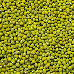 Green Moong Beans