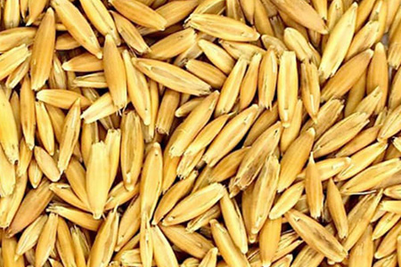 Oats